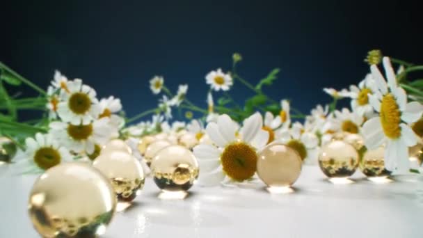 Ausdollende Makroaufnahme Von Gartenblumen Die Auf Weißer Oberfläche Zwischen Nassen — Stockvideo