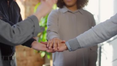 Mutlu çok ırklı iş arkadaşlarının orta seviye çekimleri. Aynı anda hem gülüyor hem de iyi takım çalışmalarını kutluyorlar.