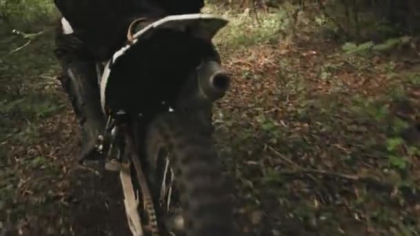 Zbliżenie Śledzenia Nierozpoznawalnego Człowieka Jadącego Motocyklu Wąską Leśną Ścieżką — Wideo stockowe
