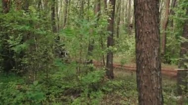 Yeşil ormandaki toprak yolda motosiklet süren asker ve miğferlerin izini sürüyorum.