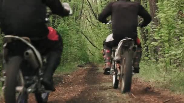 Lövöldözés Sisakos Férfiakról Motorbiciklizés Keskeny Földúton Zöld Erdőben — Stock videók