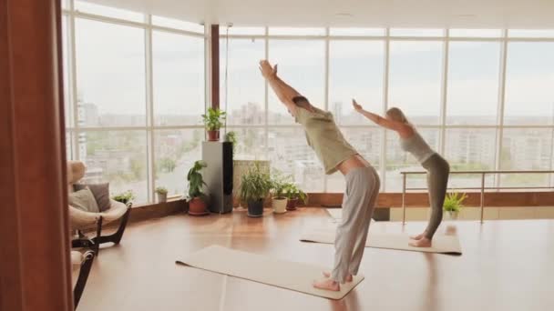 Full Shot Pareja Delgada Entrenamiento Yoga Haciendo Flexiones Hacia Adelante — Vídeo de stock