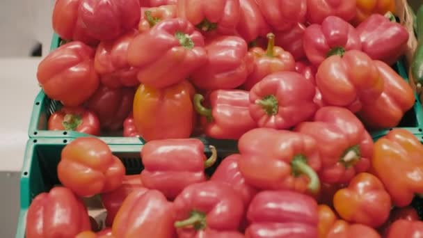 Büyük Süpermarketin Bakkal Bölümünde Salatalıkların Yanında Duran Çeşitli Organik Kırmızı — Stok video