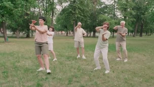 Panorama Cinco Personas Multiétnicas Mayores Practicando Qigong Césped Verde Parque — Vídeos de Stock