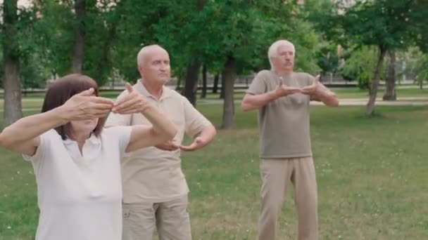 Plan Moyen Cinq Personnes Âgées Pratiquant Qigong Ensemble Dans Parc — Video