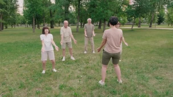 Wide Shot Five Elderly People Having Qigong Training Outdoors — Stockvideo