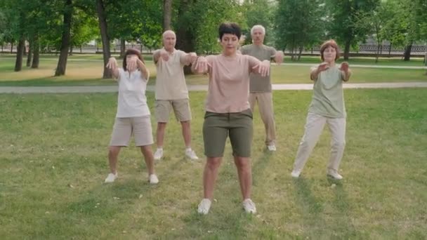 Ampla Foto Grupo Cinco Idosos Com Treinamento Qigong Gramado Parque — Vídeo de Stock