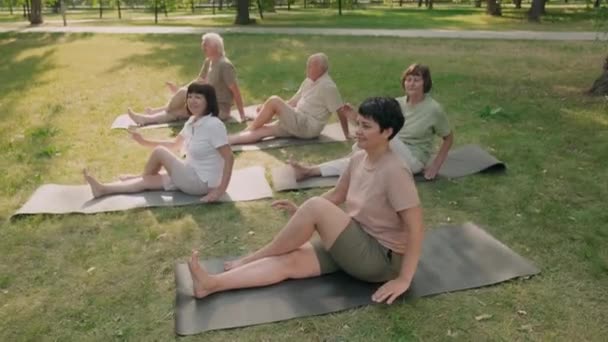 Tilt Middle Aged Beautiful Brunette Woman Sitting Mat Grass Park — Stockvideo