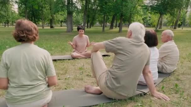 Rear View Four Senior People Sitting Lotus Pose Mats Grass — Stockvideo