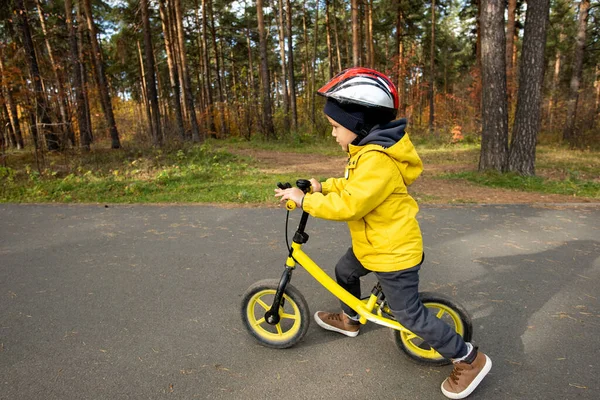 穿着便服戴着防护头盔的可爱小男孩骑着平衡自行车沿着宽阔的柏油路骑在自然环境中的树上 — 图库照片