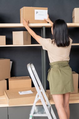 Genç bayan yöneticinin merdivendeki arka görüntüsü ahşap raftan müşterinin siparişiyle birlikte büyük bir karton kutu alıyor.