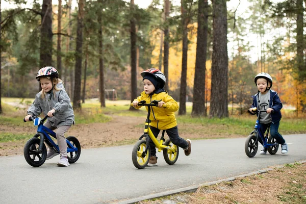 Two Cute Little Boys Adorable Blond Girl Sitting Balance Bikes — Fotografia de Stock