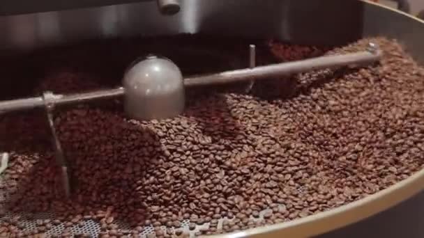 People Close Fresh Brown Coffee Beans Rotating Metal Cylinder Roasting — Stock video