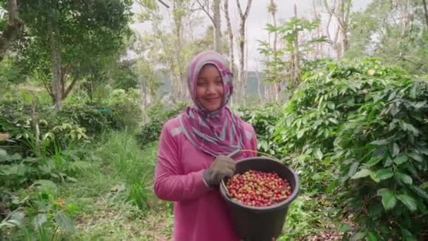 Retrato Médio Jovem Indonésia Roupas Rosa Xale Entre Arbustos Olhando — Vídeo de Stock