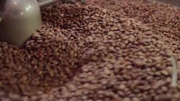 Tons Roasted Coffee Beans Rotating Metal Cylinder Roasting Machine Being — Stock Video