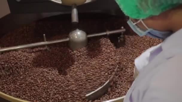 女性工場労働者の肩越しの映像焙煎機からコーヒー豆を選別破損したものを除去 — ストック動画