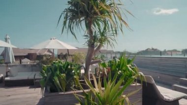 Lüks otelin teras dekorasyonu için devasa palmiye ağaçlarının arkası.