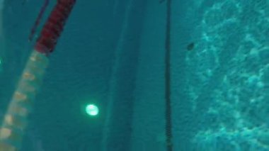Profesyonel sporcunun antrenman sırasında kapalı havuzda yüzerken ki görüntüsü.