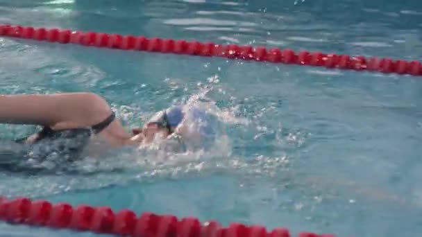 身着泳衣 头罩和护目镜的职业女子游泳运动员在有车道的游泳池里练习时的慢镜头跟踪调查 — 图库视频影像