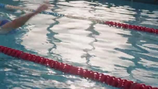 头戴帽子 戴护目镜 穿着泳衣 背泳的女运动员在室内有车道的游泳池中慢镜头 — 图库视频影像