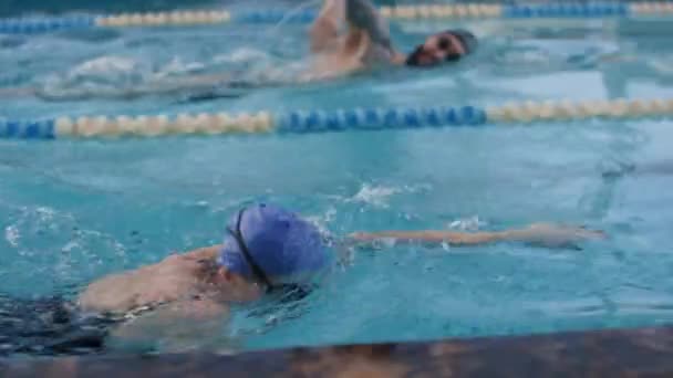 Seguimiento Lento Nadadores Masculinos Femeninos Gorras Gafas Que Compiten Entre — Vídeo de stock
