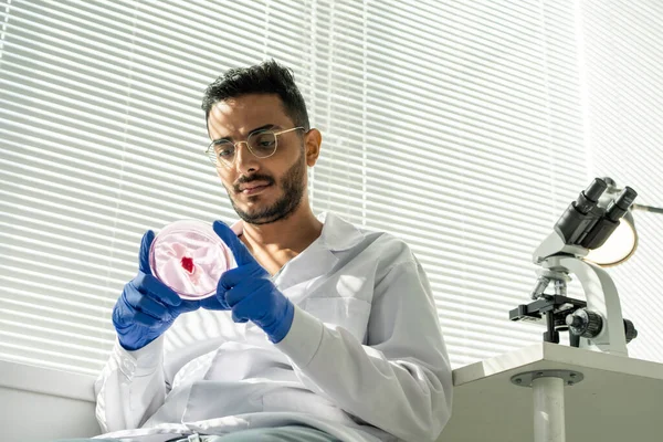 Handschoen Jonge Mannelijke Werknemer Van Voedselkwaliteit Controle Whitecoat Kijken Naar — Stockfoto