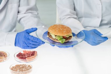 Gıda kalite kontrol elemanının eldivenli elleri. Laboratuvarda içinde sebze eti bulunan iştah açıcı bir hamburger tabağı tutuyor.