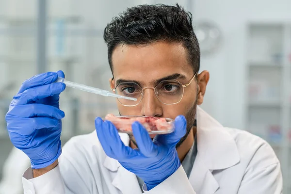 Jonge Handschoen Serieuze Mannelijke Wetenschappelijke Onderzoeker Aandachtig Kijken Naar Stuk — Stockfoto