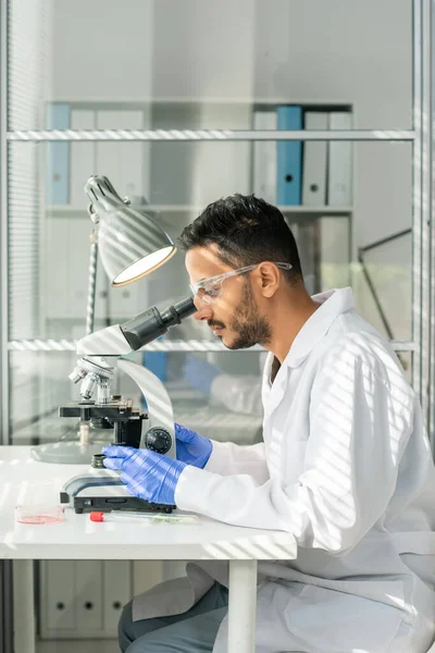 Vista Lateral Joven Investigador Contemporáneo Guantes Anteojos Blanco Estudiando Muestra — Foto de Stock