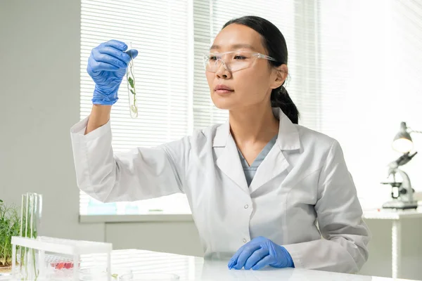 Jong Aziatisch Vrouwelijk Laboratorium Werknemer Handschoenen Whitecoat Beschermende Bril Kijken — Stockfoto