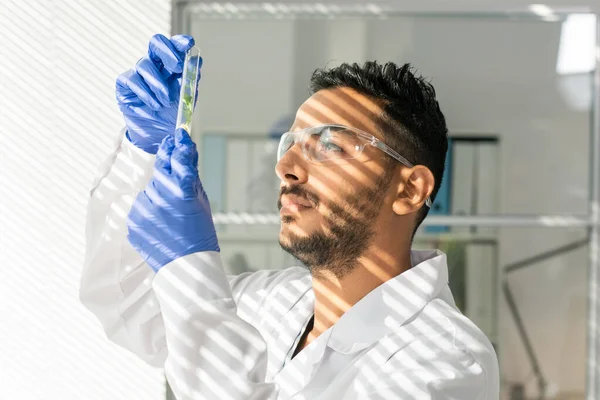 Jonge Ernstige Mannelijke Laboratoriummedewerker Beschermende Werkkleding Die Kijkt Naar Een — Stockfoto