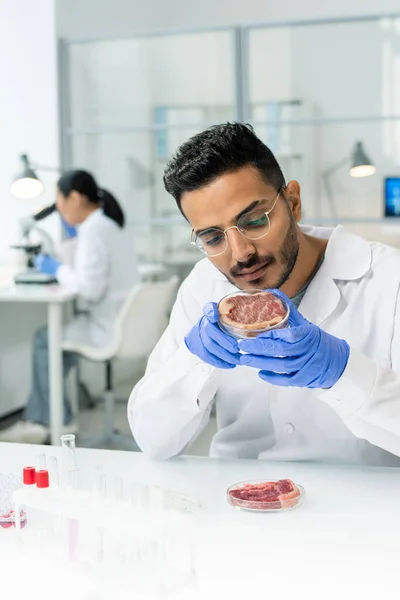 Jonge Gehandschoende Mannelijke Onderzoeker Whitecoat Houden Petrischaal Met Stuk Rauw — Stockfoto