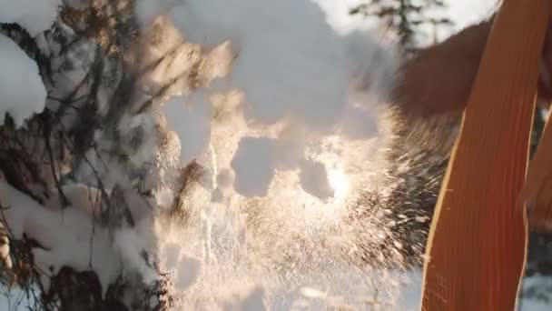 晴れた日には冬の森の枝から雪を振り払う冬の帽子の笑顔の黒い男のクローズアップ楽しみを持っている — ストック動画