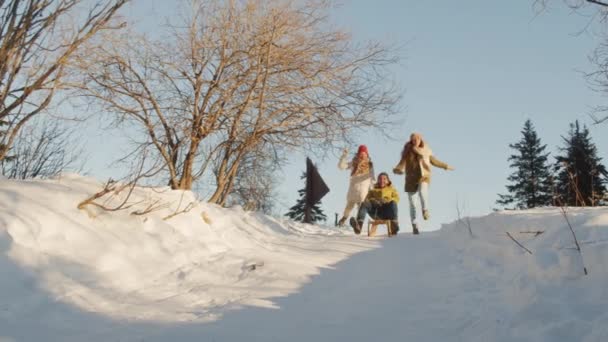 Mladá Šťastná Skupina Přátel Baví Slunečný Den Zimním Lese Veselý — Stock video