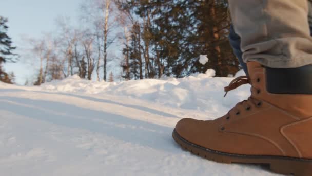 冬の森の中の雪道を歩く冬のブーツの認識できない男性の低セクションの映像 — ストック動画