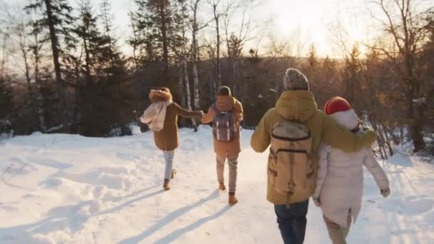 Pełne Tylne Nagranie Dwóch Szczęśliwych Par Spacerujących Śnieżnej Drodze Przytulających — Wideo stockowe