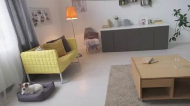 Bir sürü tanınmayan adam yataktan kalkıyor çalar saati kapatıyor, bir bardak su içiyor ve köpeğini okşuyor sabah rutinine evde başlıyor.