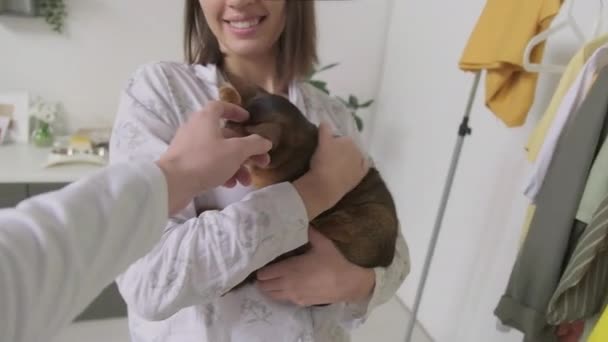 Pov Unrecognizable Male Hand Patting Cute Cat Chilling Smiling Woman — Stock Video