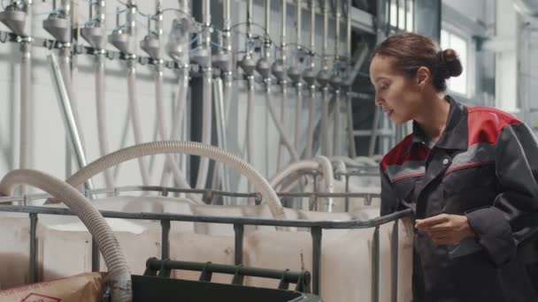 ポリプロピレン製の白い顆粒を手に大きな容器の横に立つ女性工場労働者の中観スローモーション映像 — ストック動画