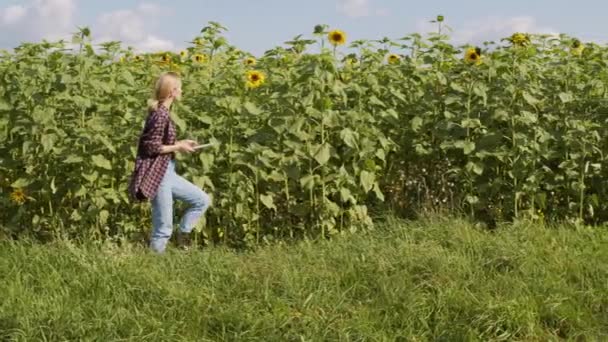 Sekvens Skott Unga Kvinnliga Agronomen Undersöker Grödor Solrosfält Gör Anteckningar — Stockvideo