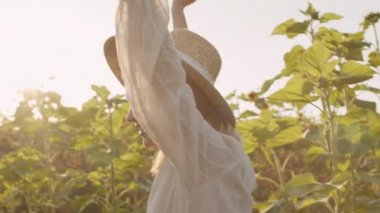 Yazın ayçiçeği tarlasında doğanın tadını çıkaran beyaz bir kadının yavaş çekim görüntülerini izliyoruz.