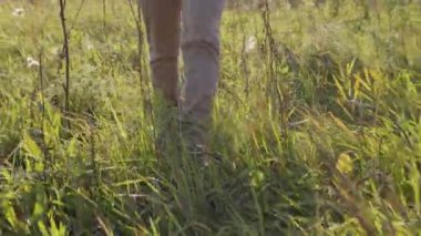 Alçak kesim ön görüş. Tanımlanamayan bacakların yavaş çekimi. Güneşli bir günde yeşil çimlerde gezinmek.