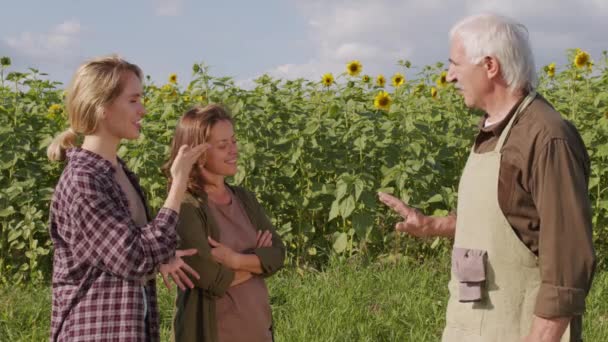 晴れた日にはひまわり畑に2人の若い女性が一緒に立って農業について熱心に話している高齢農家の中出し — ストック動画