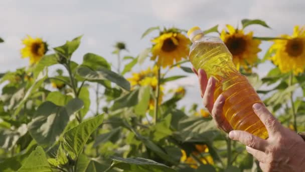 Nahaufnahme Einer Plastikflasche Mit Goldenem Sonnenblumenfeld Männlichen Händen Mit Schönem — Stockvideo