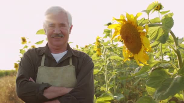 Střední Stopa Pomalý Portrét Usměvavého Staršího Farmáře Stojící Rukama Složenýma — Stock video