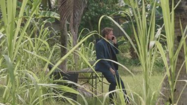 Tropik bölgelerde iş seyahatine çıkmış iş adamı palmiye ağaçlarının arasında telefon görüşmesi yapıyor.