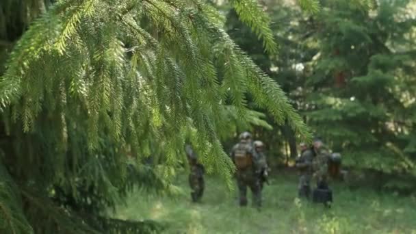 Skrze Jehličnaté Stromy Záběry Nerozpoznatelných Vojáků Maskovacích Oděvech Stojících Lese — Stock video