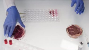 Tanımlanamayan bilim adamının laboratuvar kültüründen örnekler alırken ve cımbızla normal etten örnekler alırken, parçaları test yuvalarına yerleştirirken üst görüntüler.