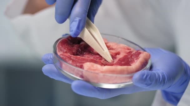 Close Câmera Lenta Mãos Cientistas Irreconhecíveis Segurando Amostra Carne Cultivada — Vídeo de Stock