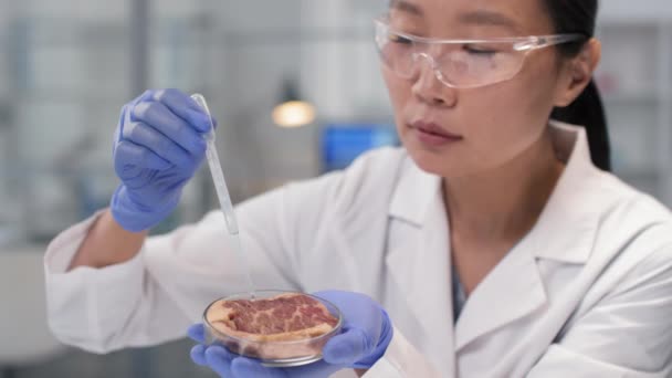 Close Câmera Lenta Cientista Asiática Concentrada Analisando Amostra Carne Regular — Vídeo de Stock